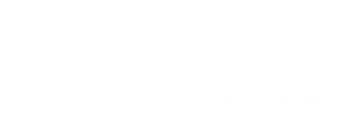 City of Tuscaloosa logo